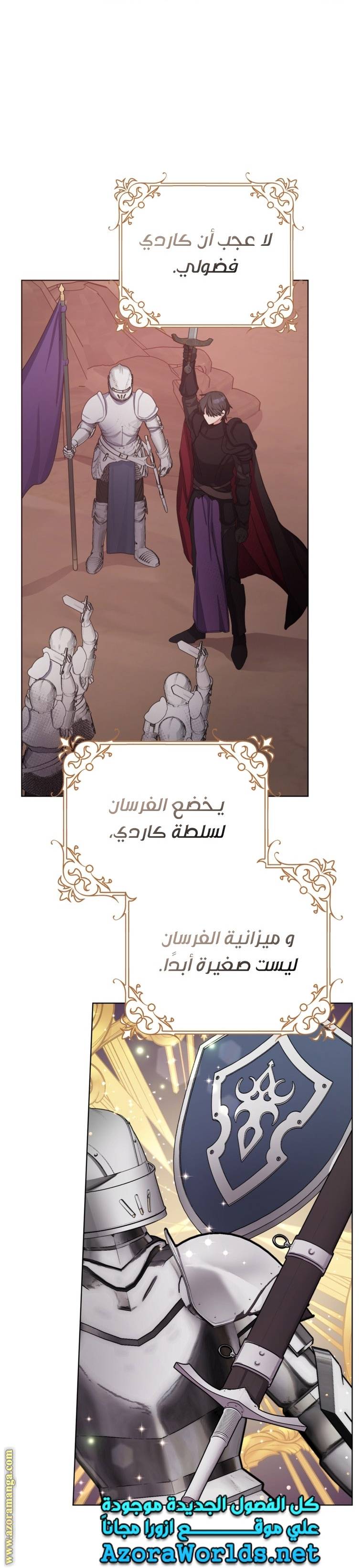 الصفحة 17