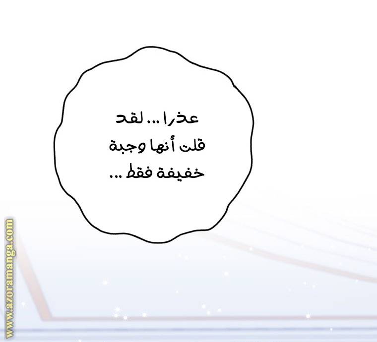 الصفحة 29