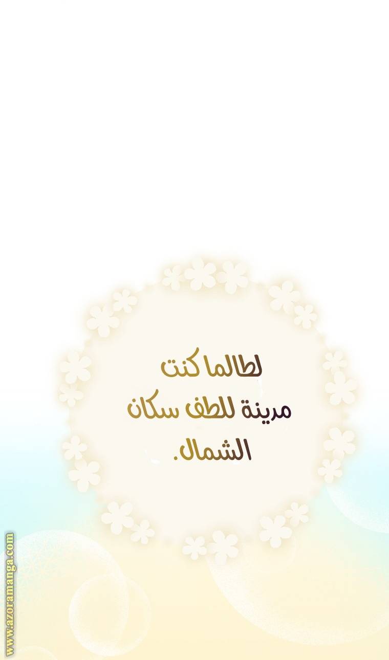 الصفحة 25