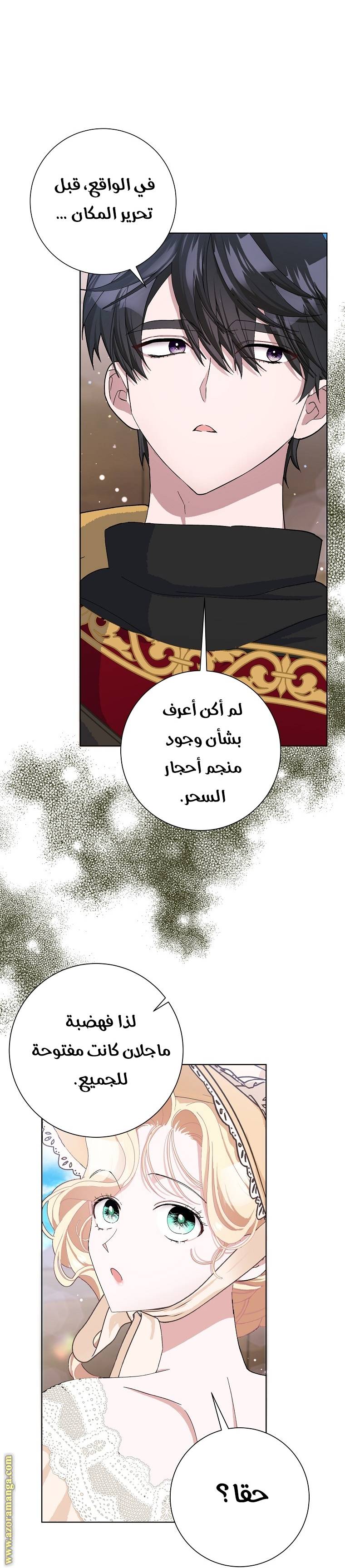 الصفحة 47