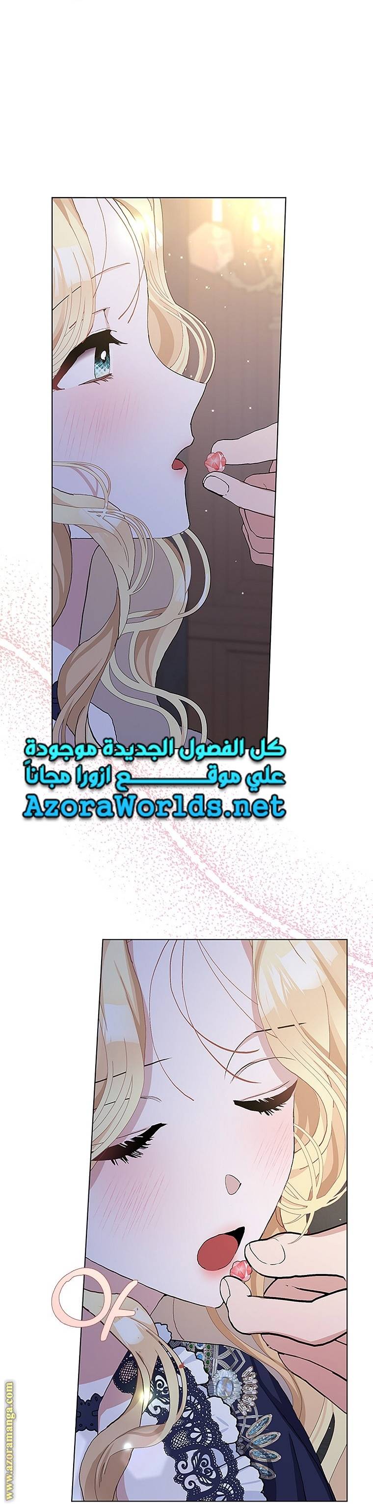 الصفحة 20