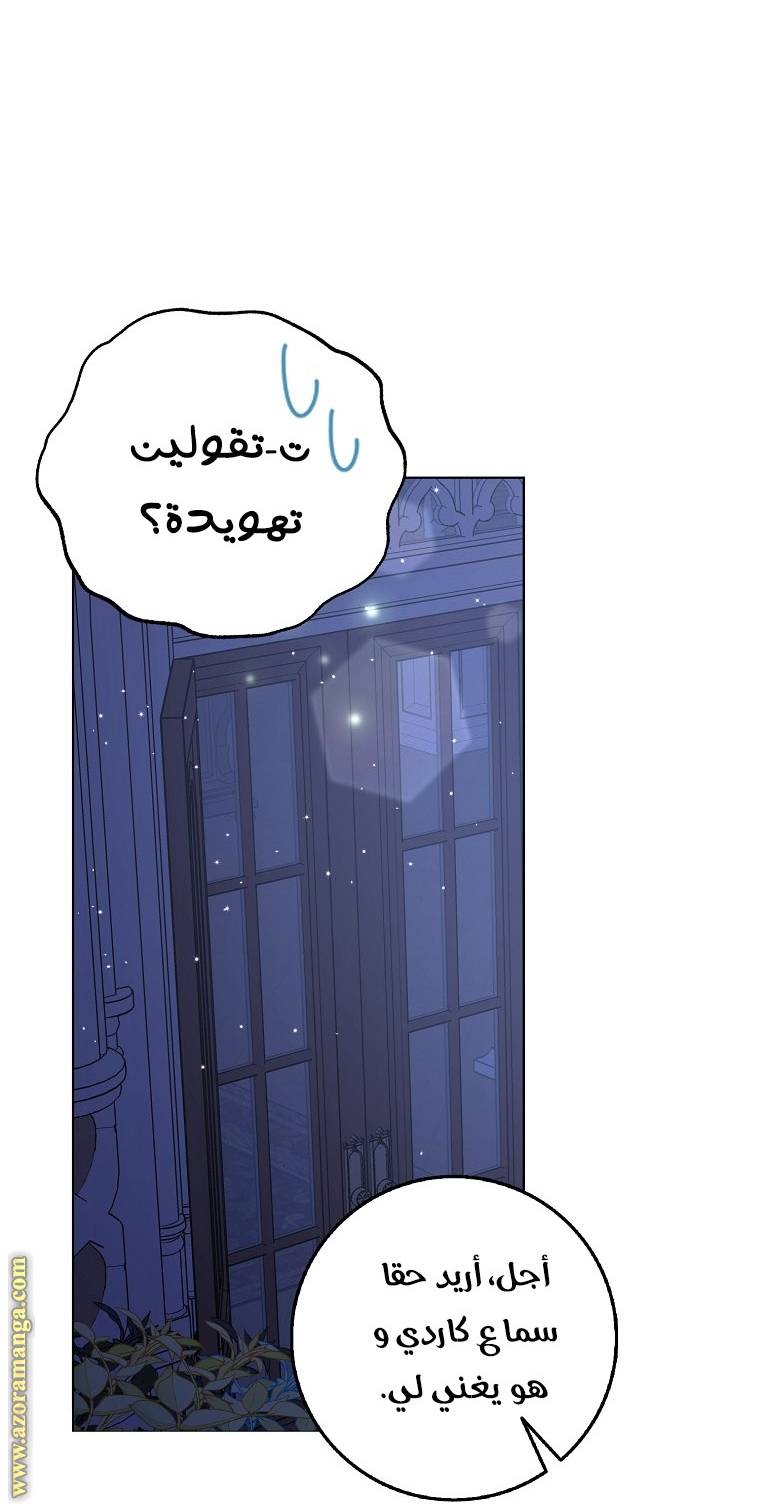الصفحة 29