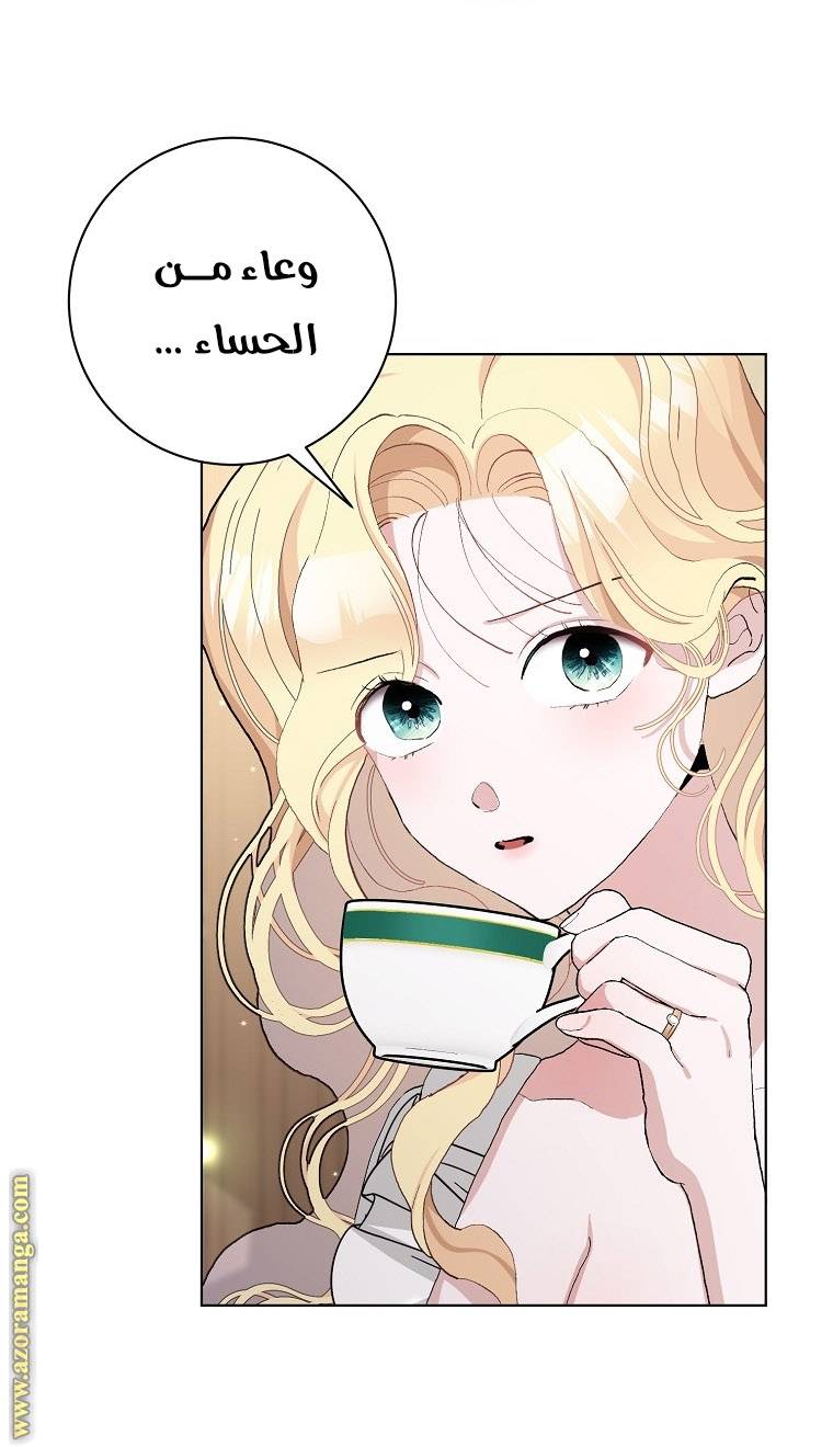 الصفحة 48