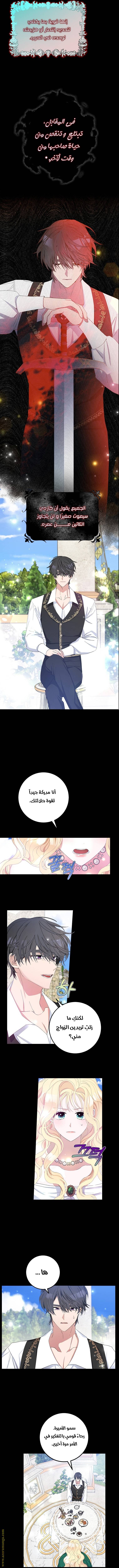 الصفحة 8