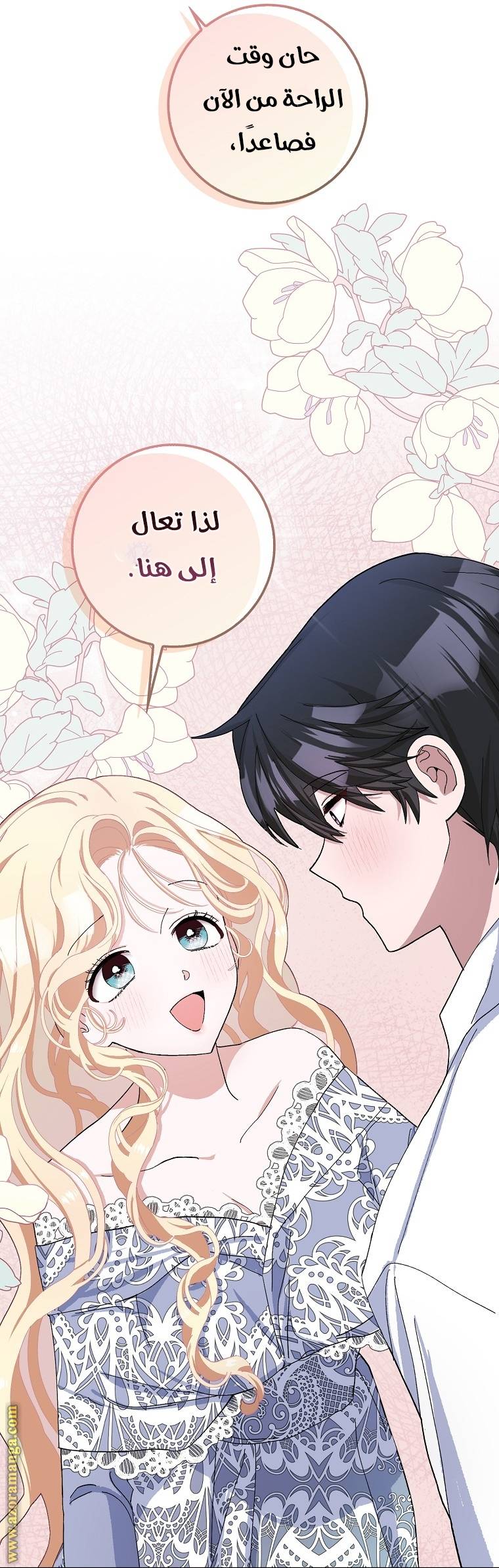 الصفحة 11
