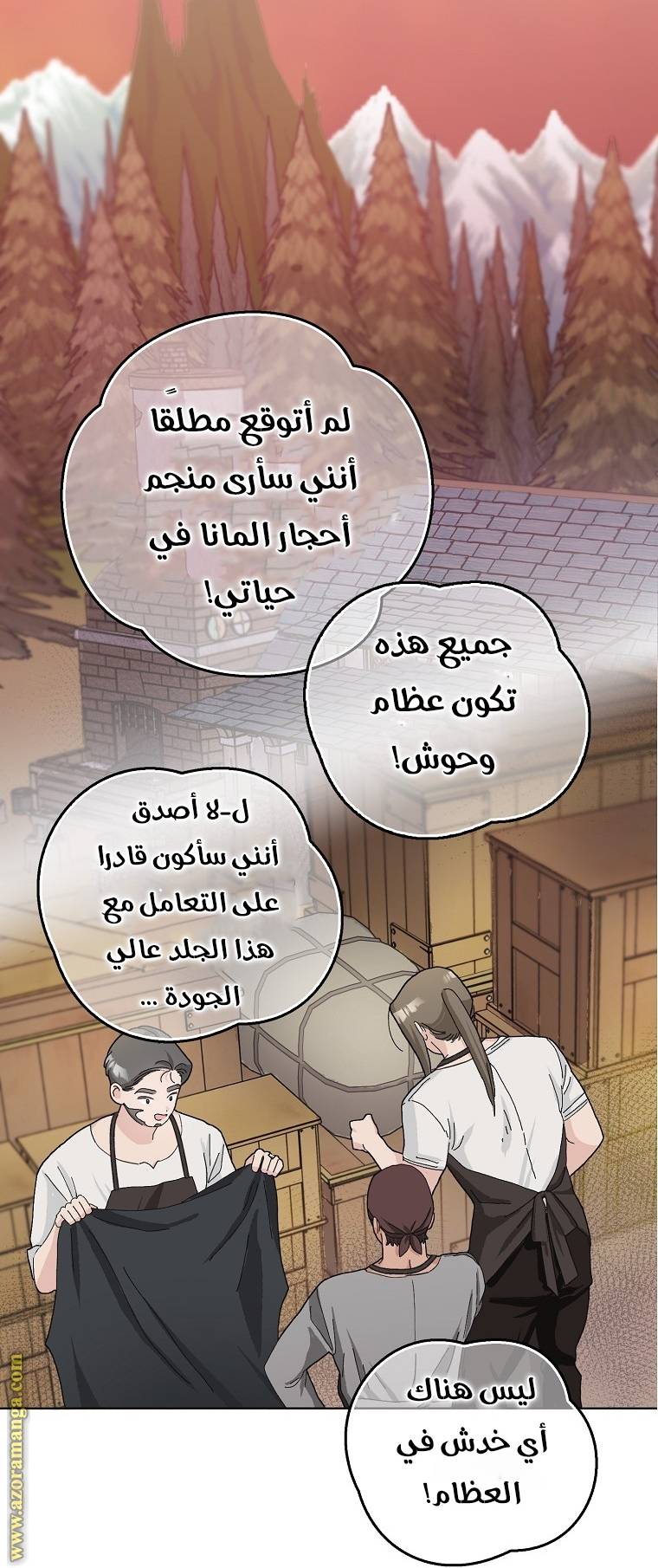 الصفحة 16