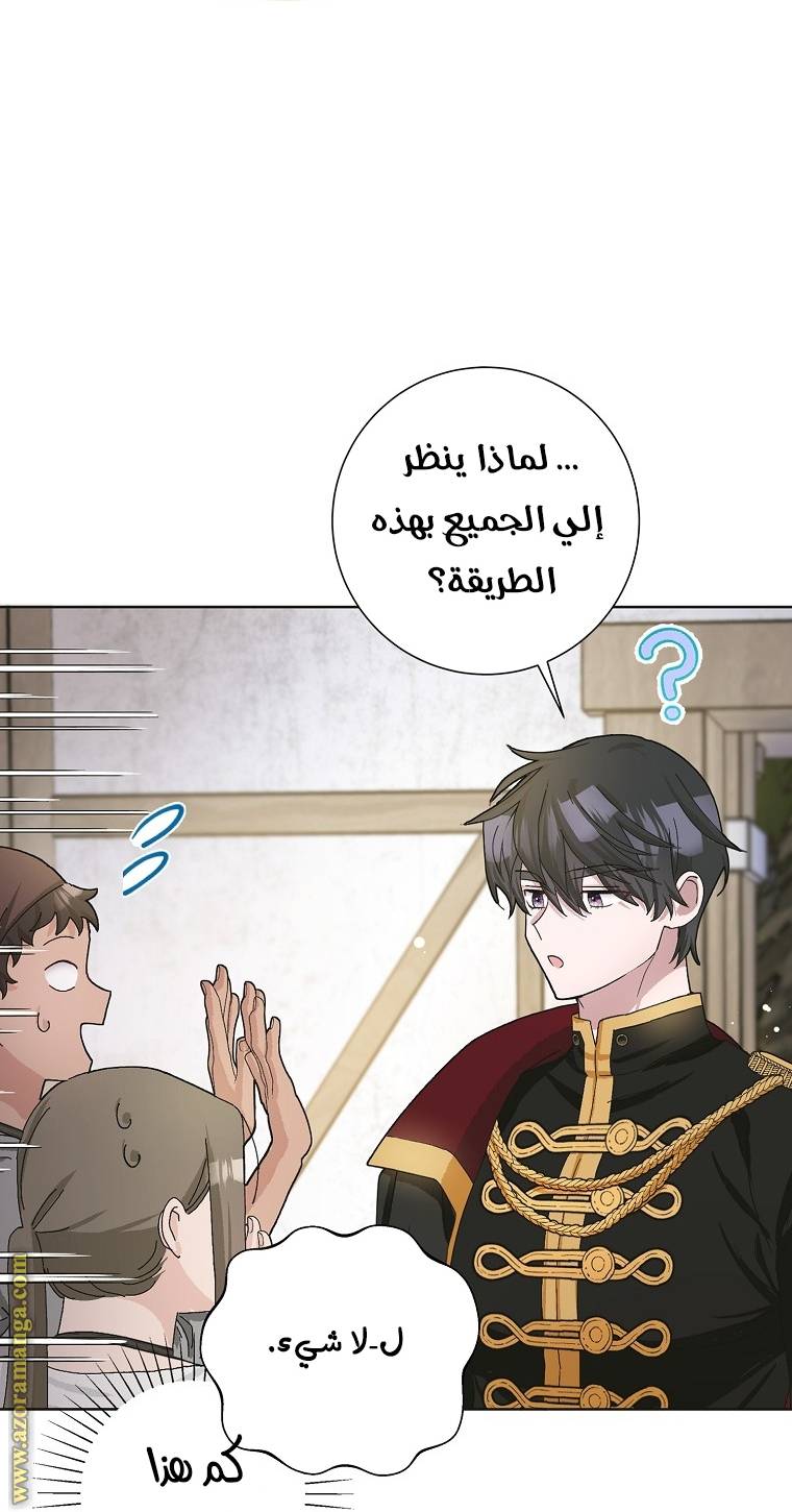 الصفحة 52