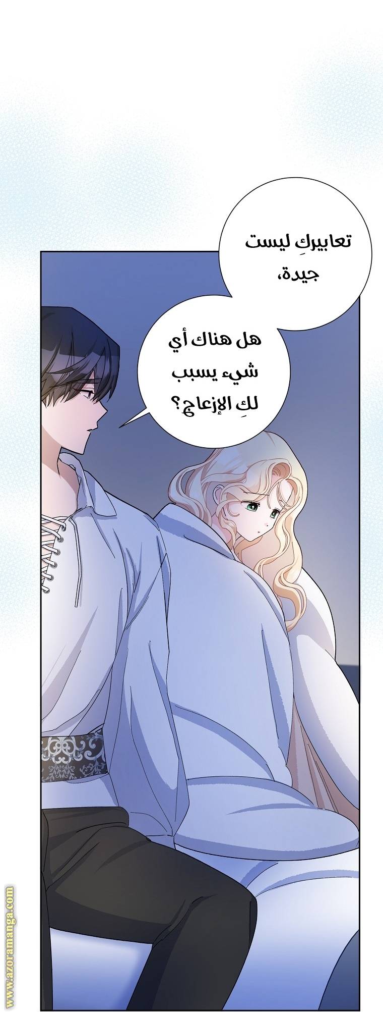الصفحة 27