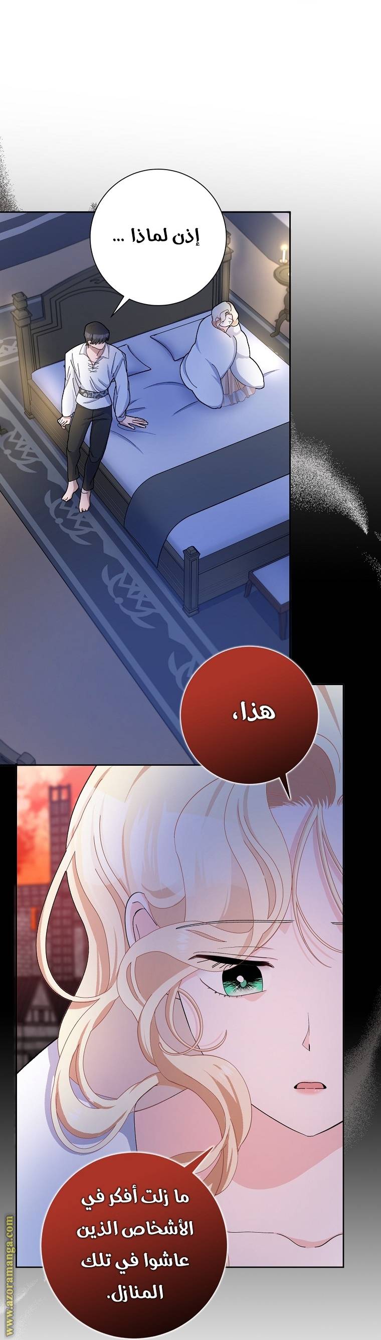 الصفحة 29