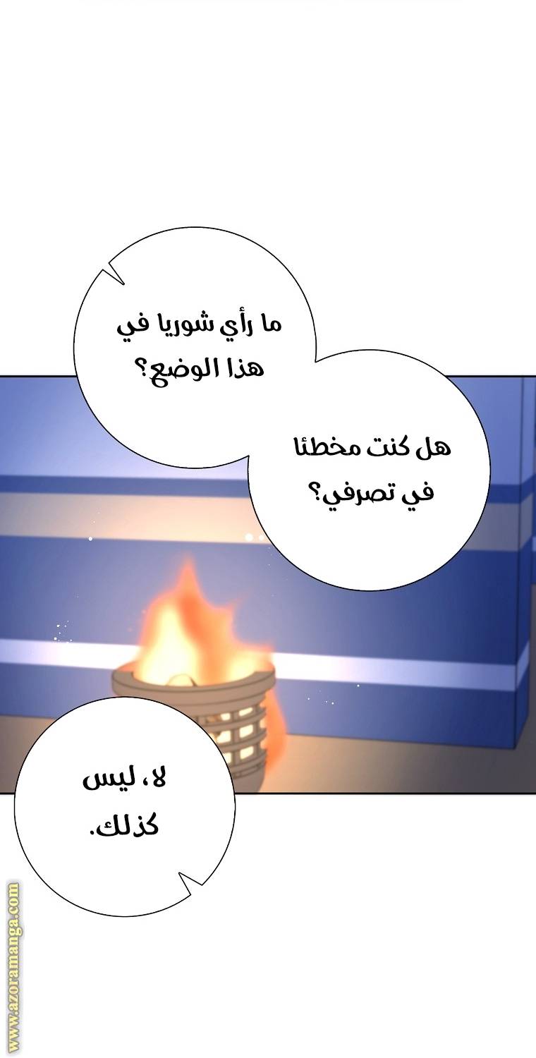 الصفحة 43