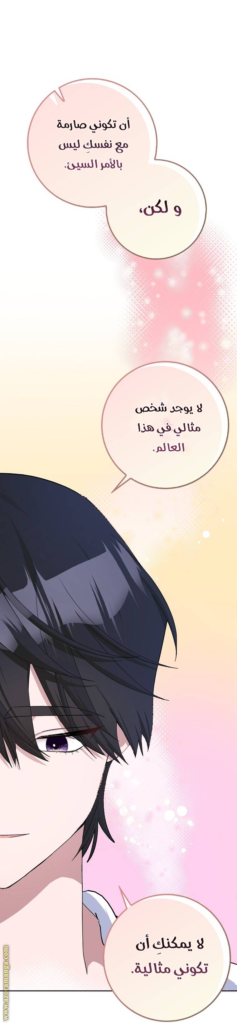 الصفحة 48