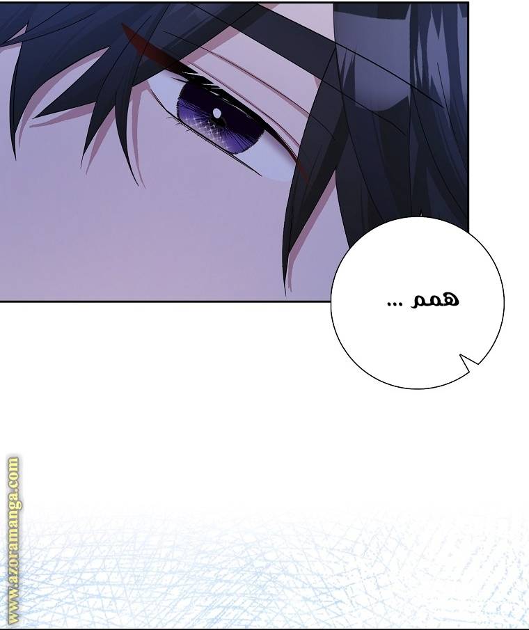 الصفحة 61