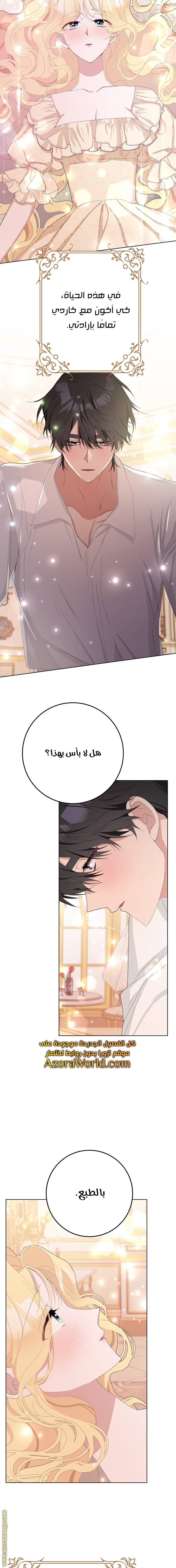 الصفحة 11