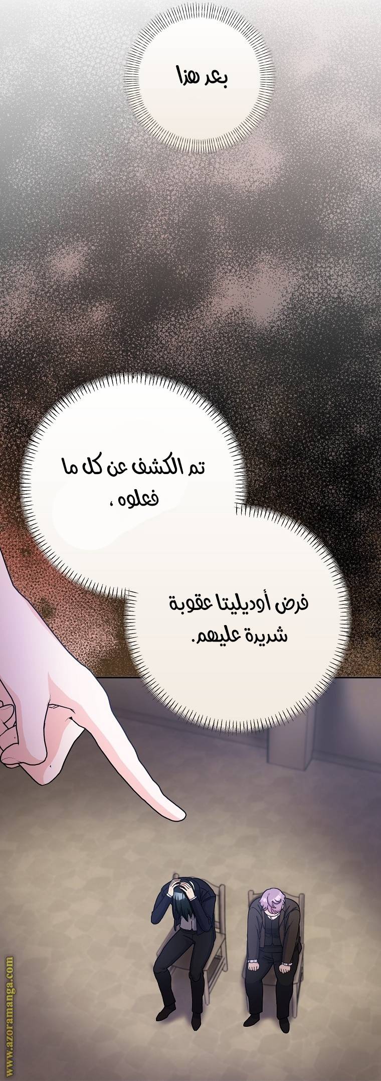 الصفحة 17