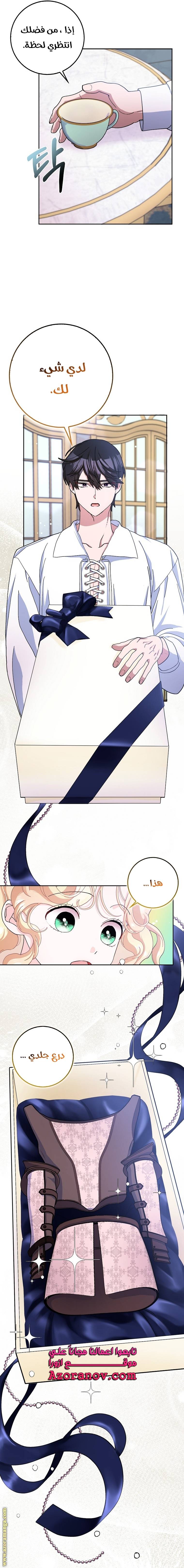 الصفحة 24