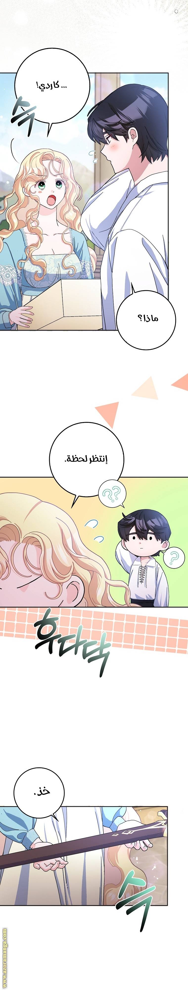 الصفحة 25