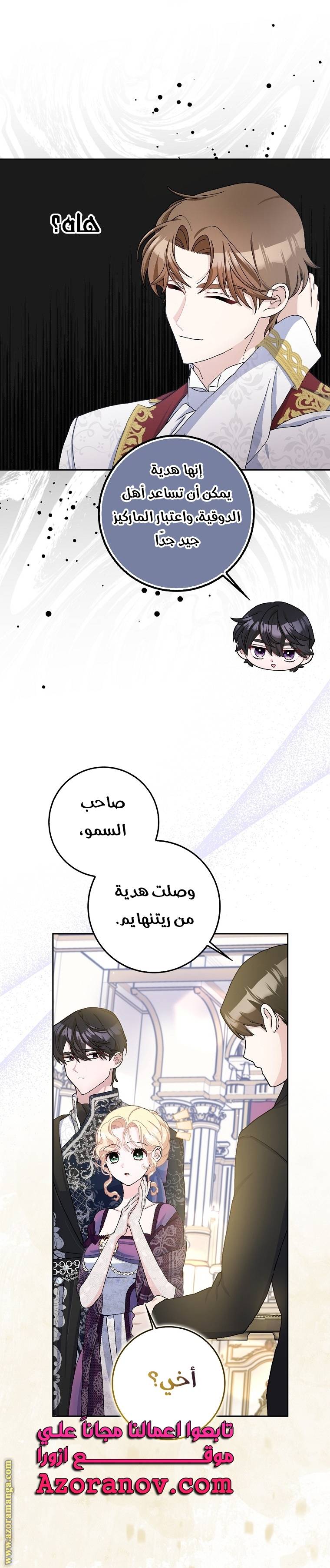 الصفحة 26