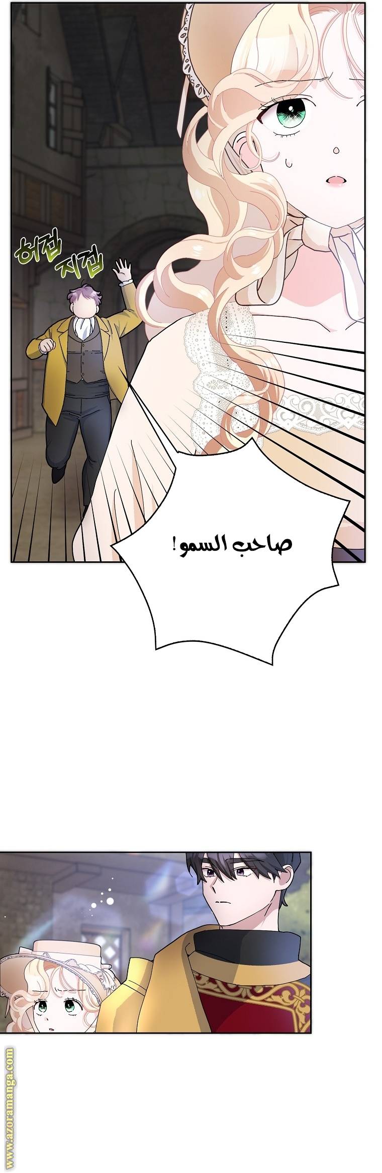 الصفحة 17
