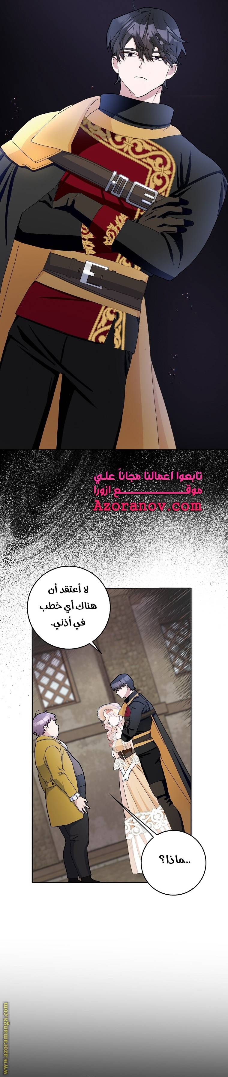 الصفحة 28