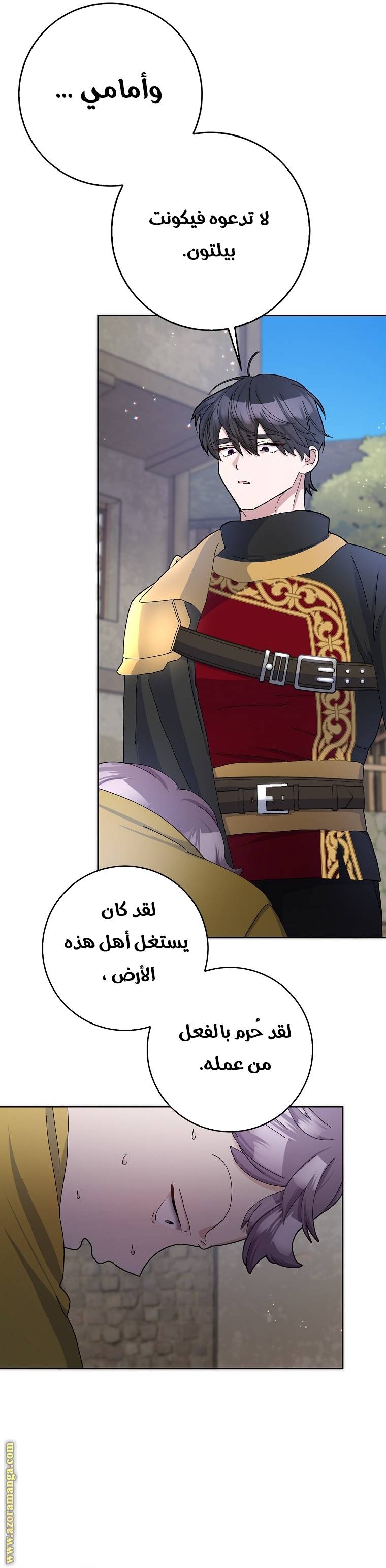 الصفحة 31