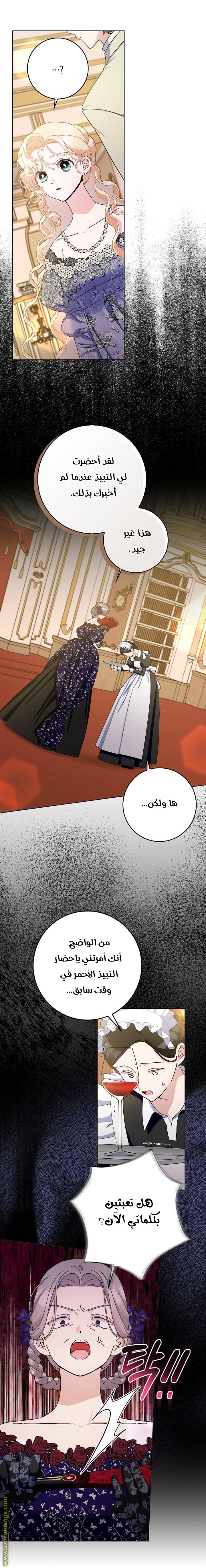 الصفحة 13