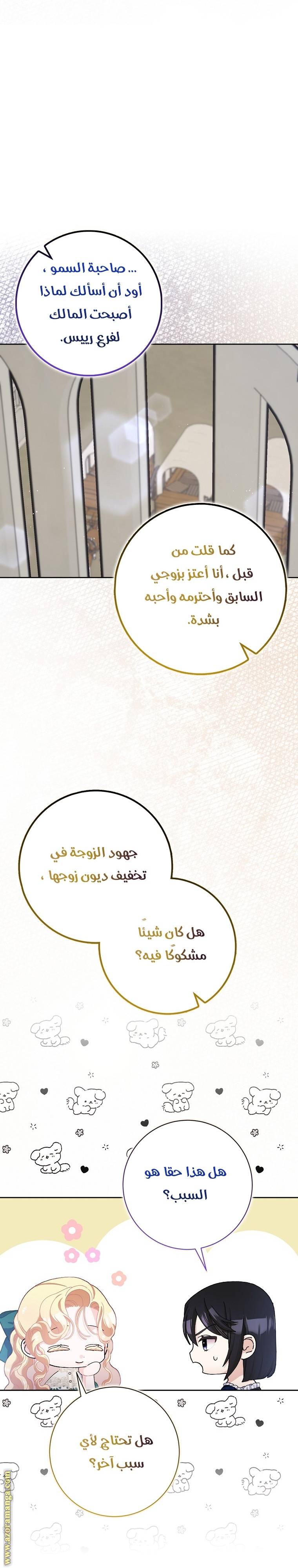 الصفحة 17