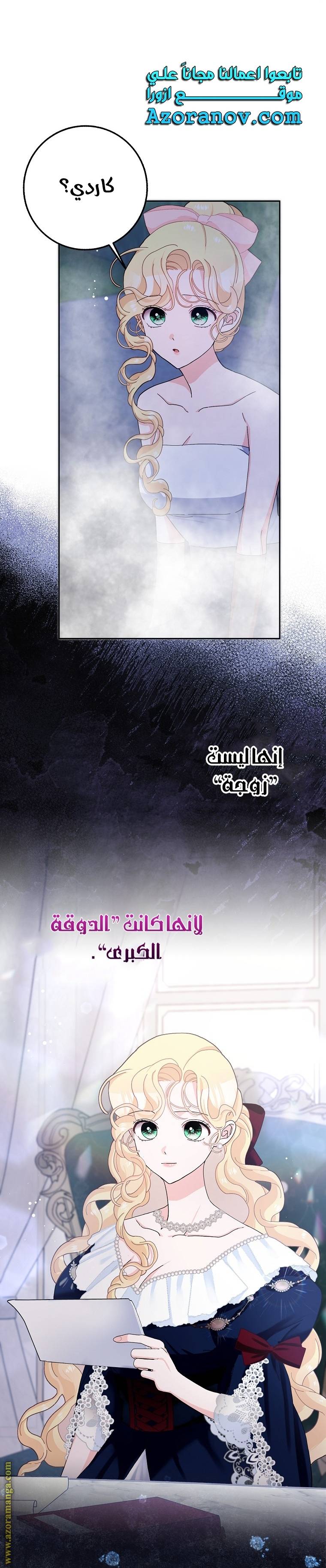 الصفحة 26