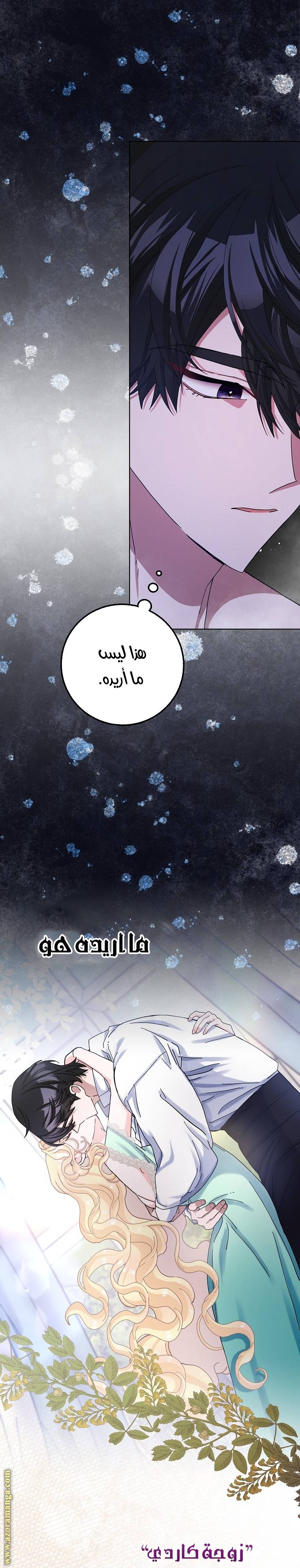 الصفحة 27