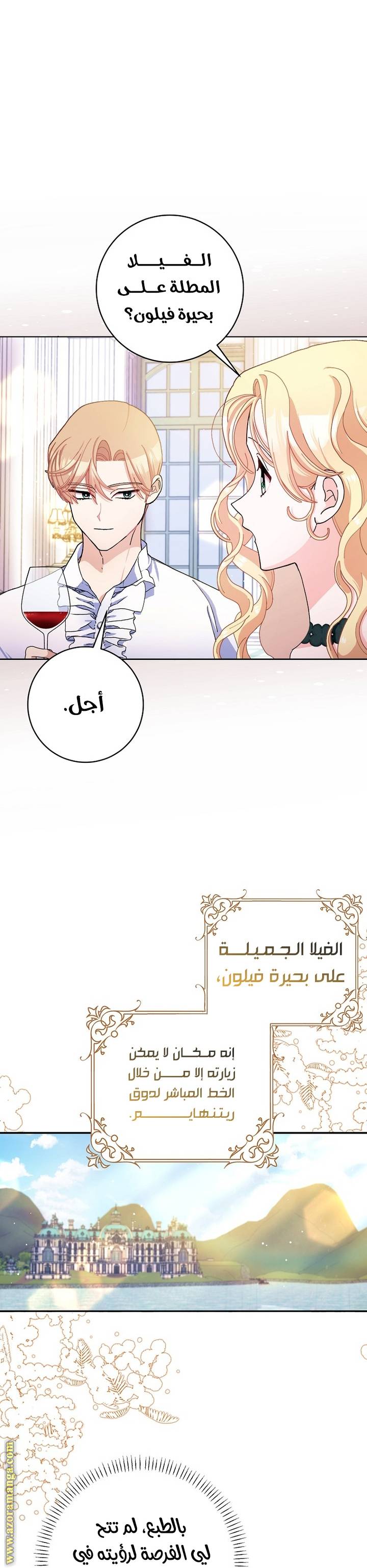 الصفحة 17