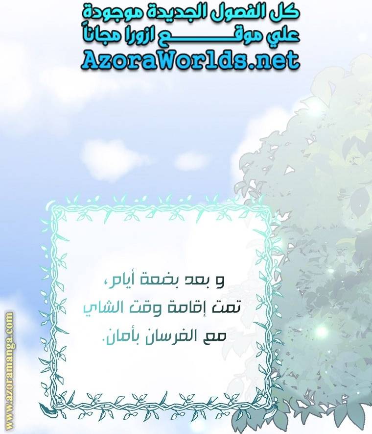 الصفحة 31