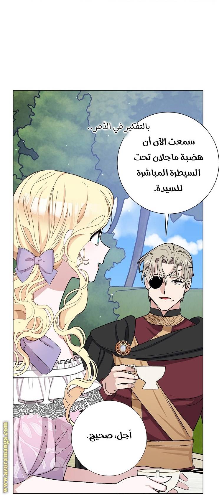 الصفحة 43