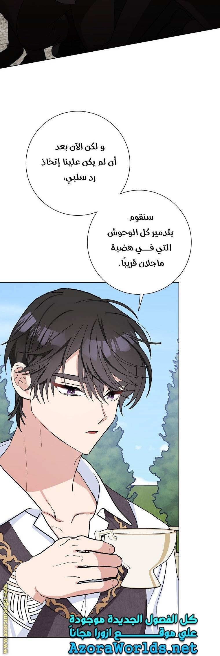 الصفحة 46