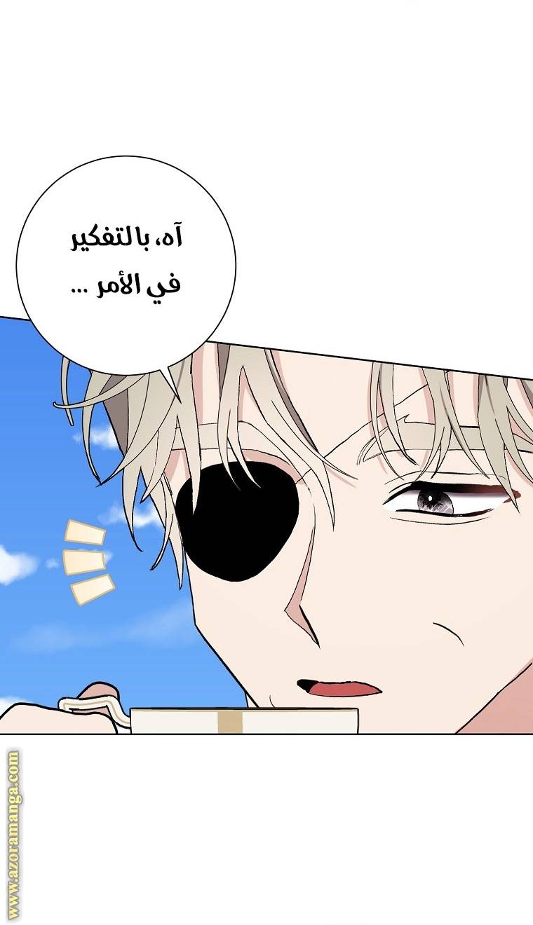 الصفحة 48