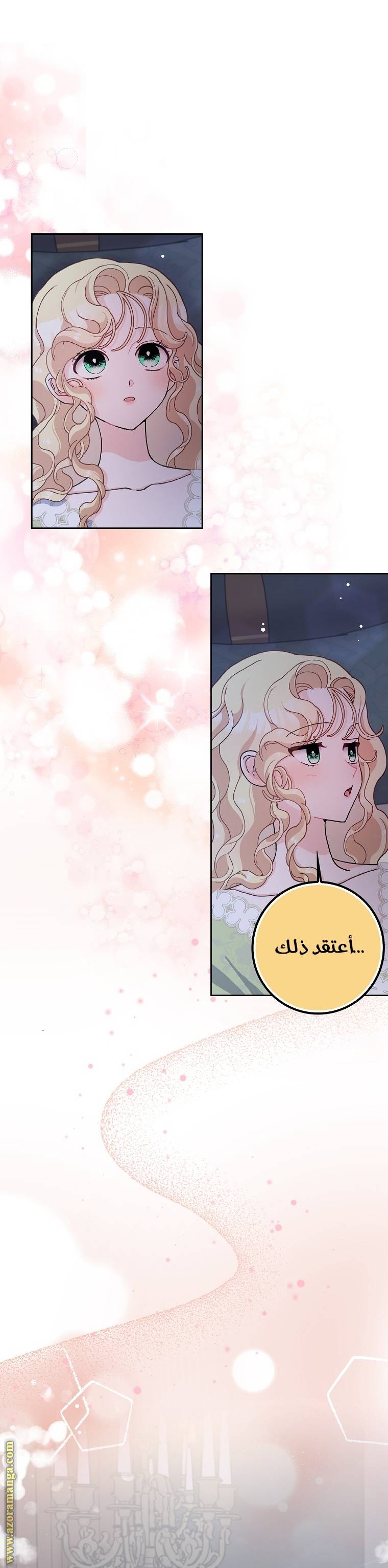 الصفحة 29