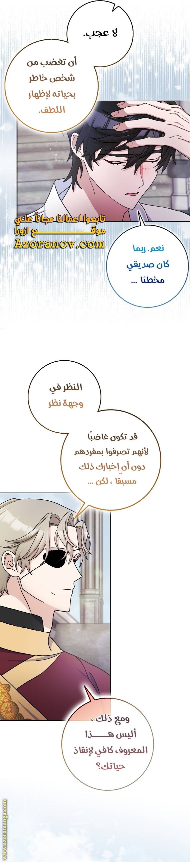 الصفحة 17