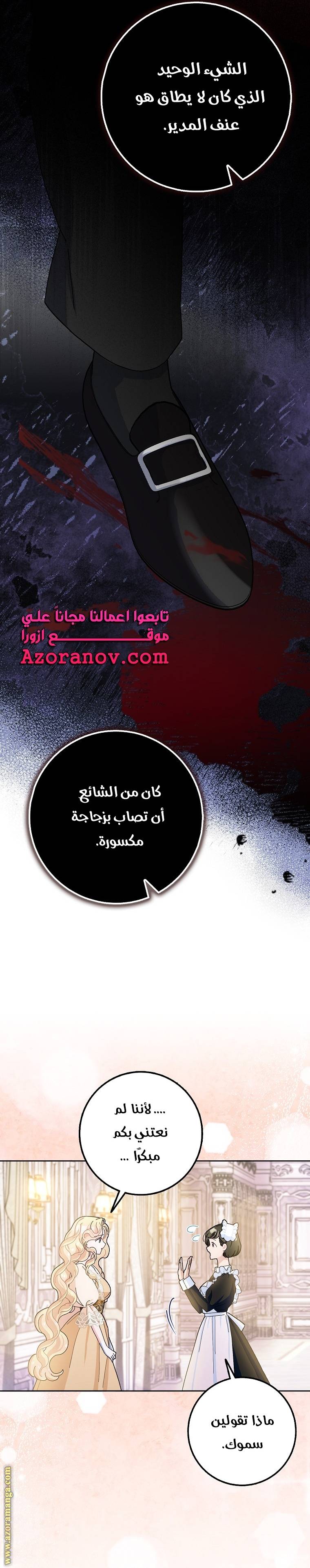 الصفحة 11