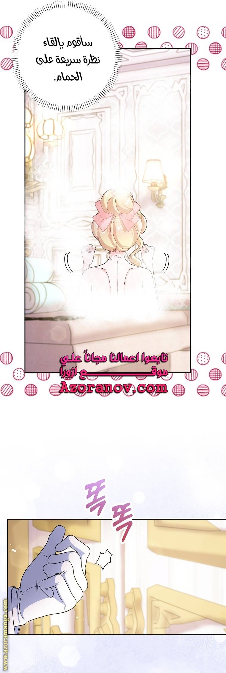الصفحة 17