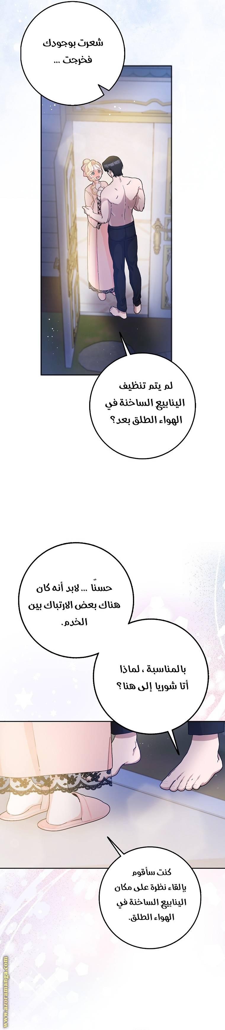 الصفحة 25