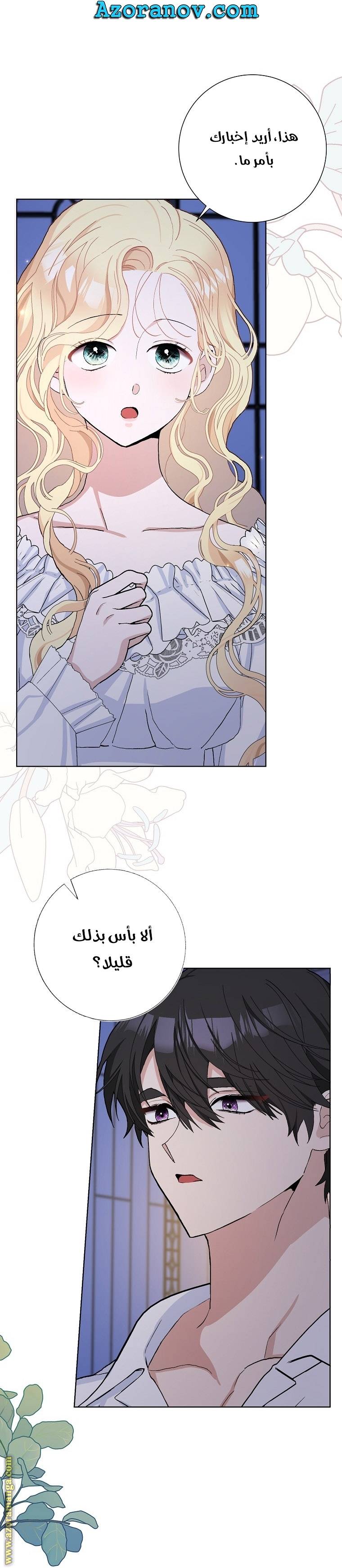 الصفحة 19