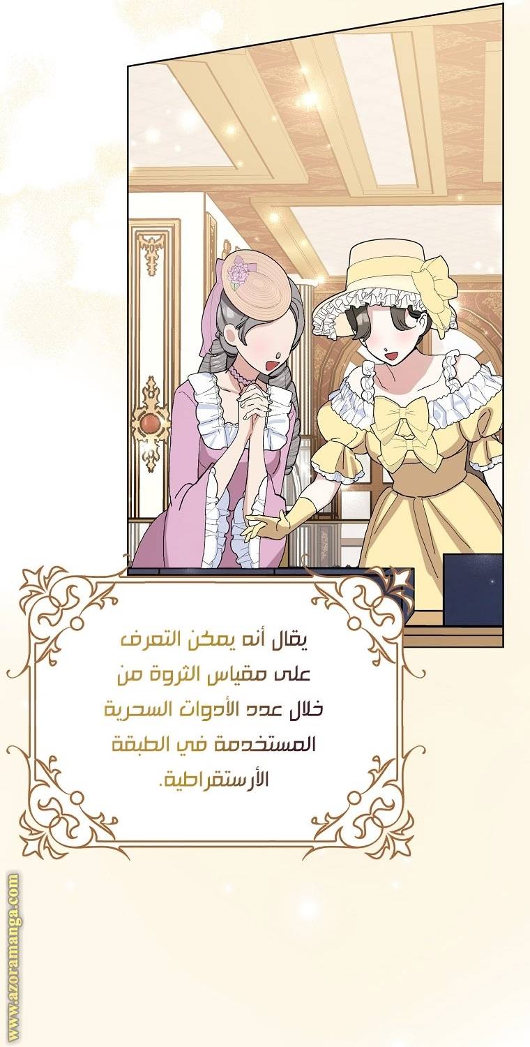 الصفحة 25