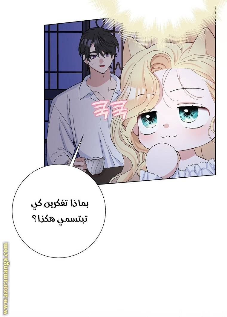 الصفحة 28