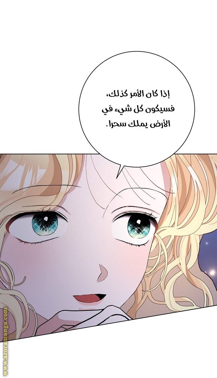 الصفحة 38