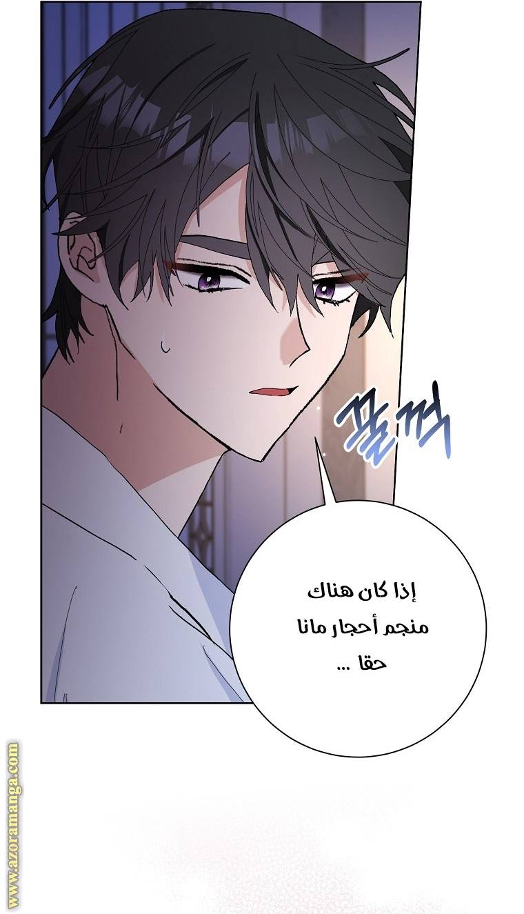 الصفحة 42