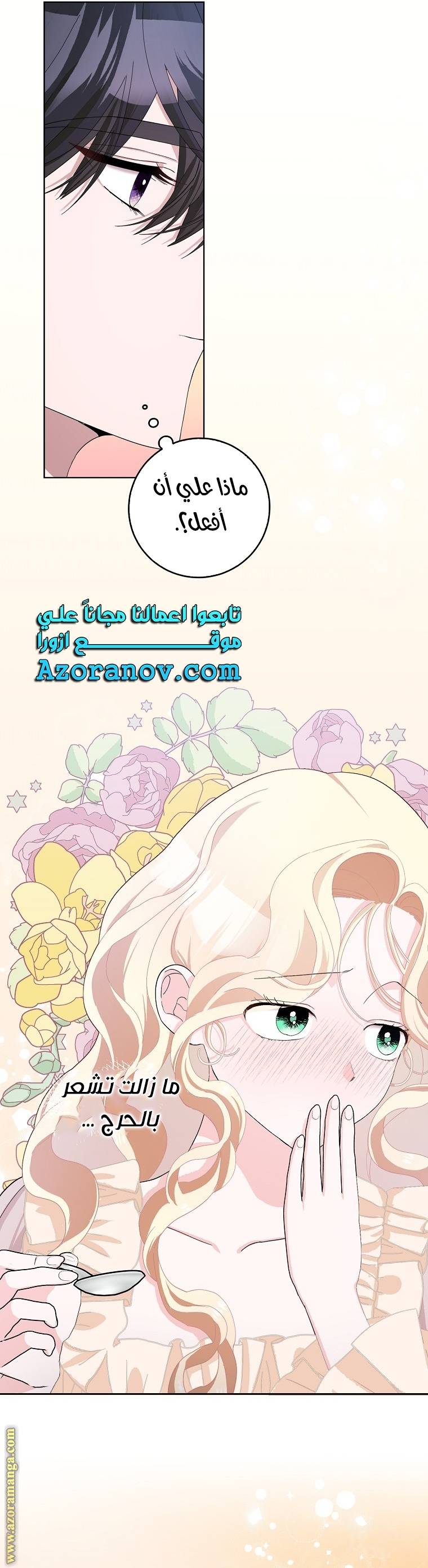 الصفحة 17