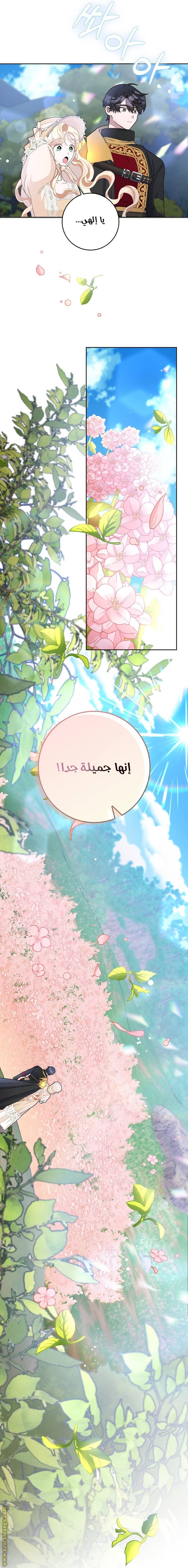 الصفحة 20