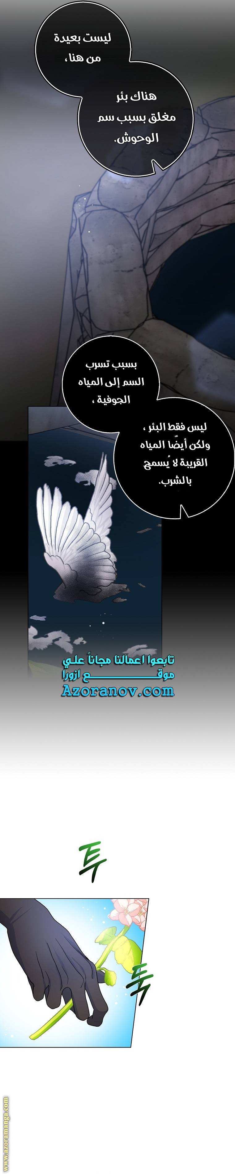 الصفحة 25