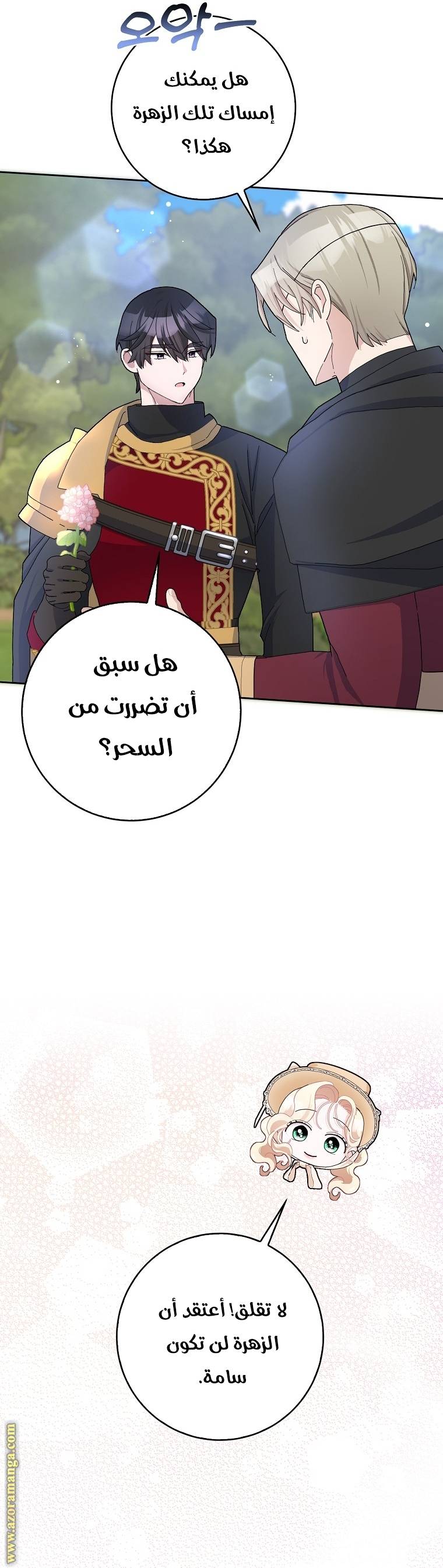 الصفحة 26