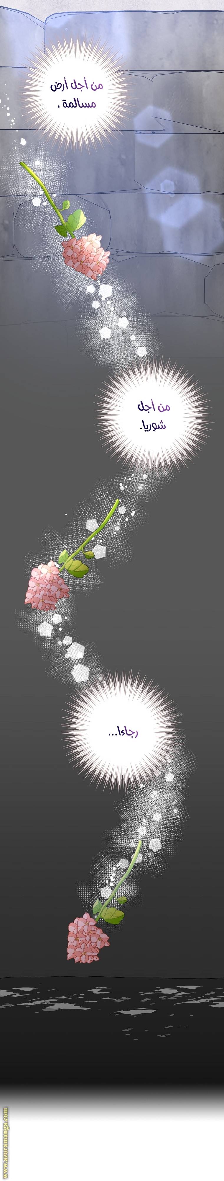 الصفحة 29