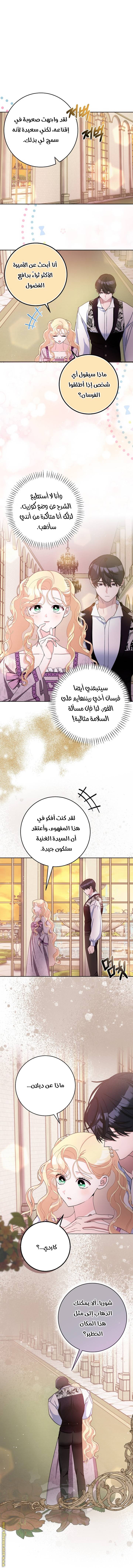 الصفحة 17