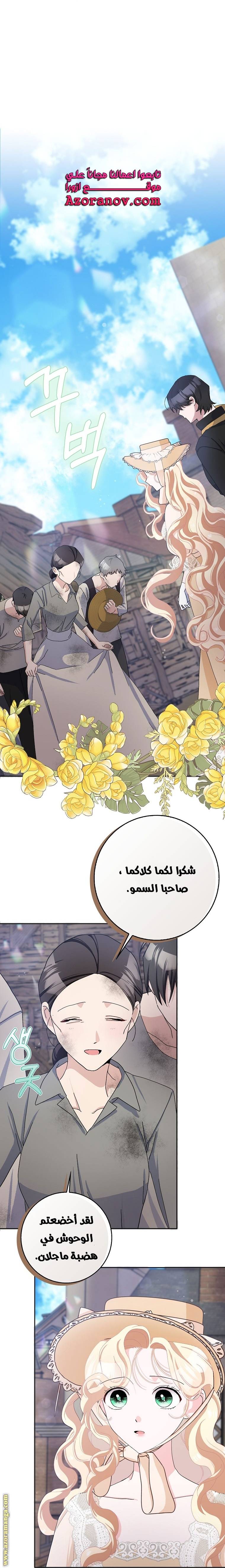 الصفحة 17
